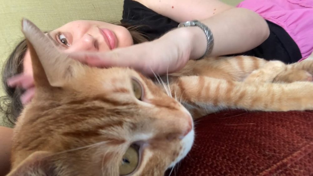 סרטון חתולים על סרטוני חתולים